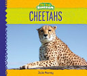 Cheetahs (Animal Kingdom) cover