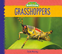 Grasshoppers (Animal Kingdom) cover