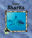 Tiger Sharks cover