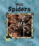 Wolf Spiders cover