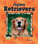 Golden Retrievers cover