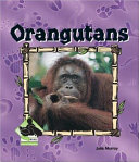 Orangutans (Animal Kingdom) cover