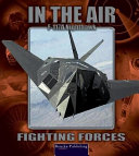 Nighthawk F-117A cover