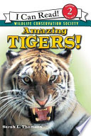 Tigers/Amazing Tigers! cover