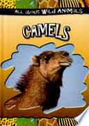 Camels cover