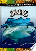 Sharks cover