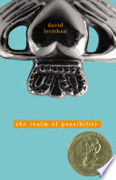 The Realm of Possibility cover