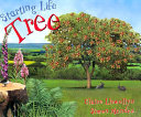 Tree cover