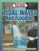 Tidal Waves and Flooding cover
