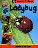 Ladybug cover