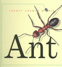 Ant cover