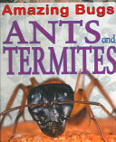 Ants and Termites cover