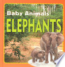 Elephants cover