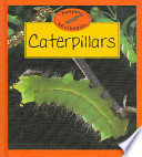 Caterpillars cover