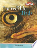 Incredible Birds (Freestyle) cover