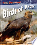 Birds of Prey cover