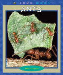 Ants cover