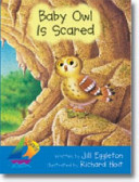 Baby Owl Goes Away cover