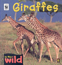 Giraffes cover