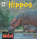 Hippos cover