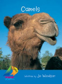 Camels cover