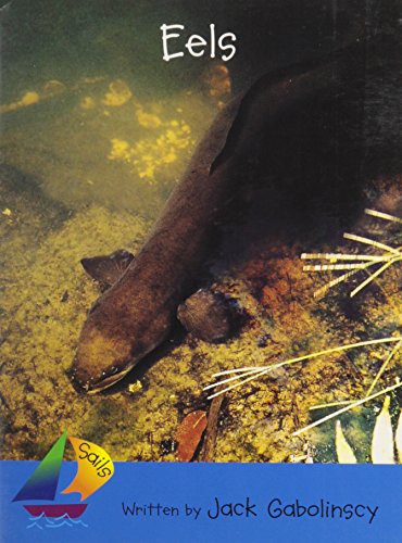 Eels cover