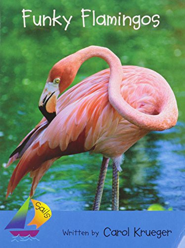 Funky Flamingos cover