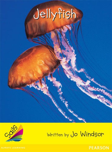 Jellyfish cover