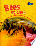 Bees up Close cover