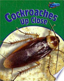 Cockroaches up Close cover
