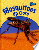 Mosquitoes up Close cover