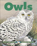 Owls cover
