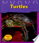 Turtles cover