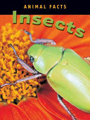 Insects cover