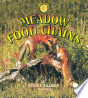 Meadow Food Chains cover