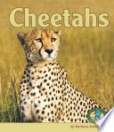 Cheetahs cover
