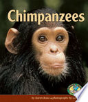 Chimpanzees cover