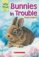 Bunnies in Trouble cover
