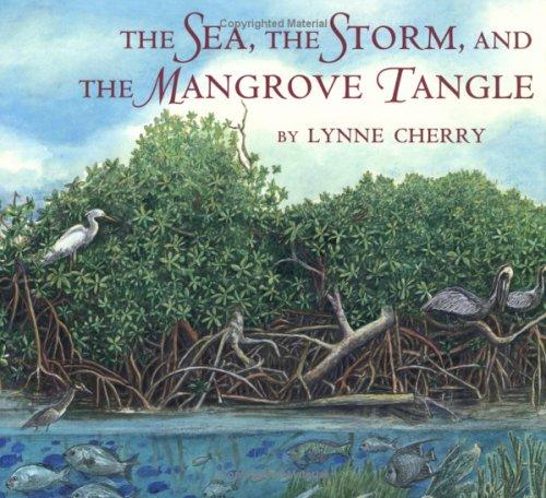 The Sea, the Storm, and the Mangrove Tangle cover