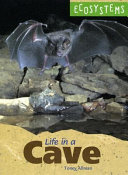 Life in a Cave cover
