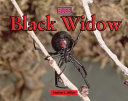 Black Widow cover