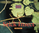 Stick Insect cover