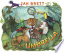 The Umbrella cover