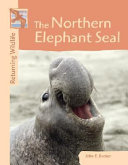 The Northern Elephant Seal cover