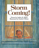 Storm Coming! cover