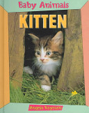 Kitten (Baby Animals) cover