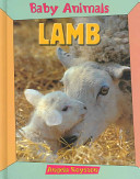 Lamb cover