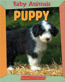 Puppy cover