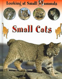 Small Cats cover
