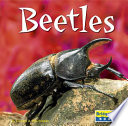 Beetles cover